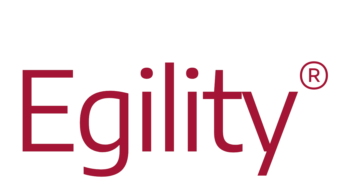 Elke Egi | Egility | SEO Graz