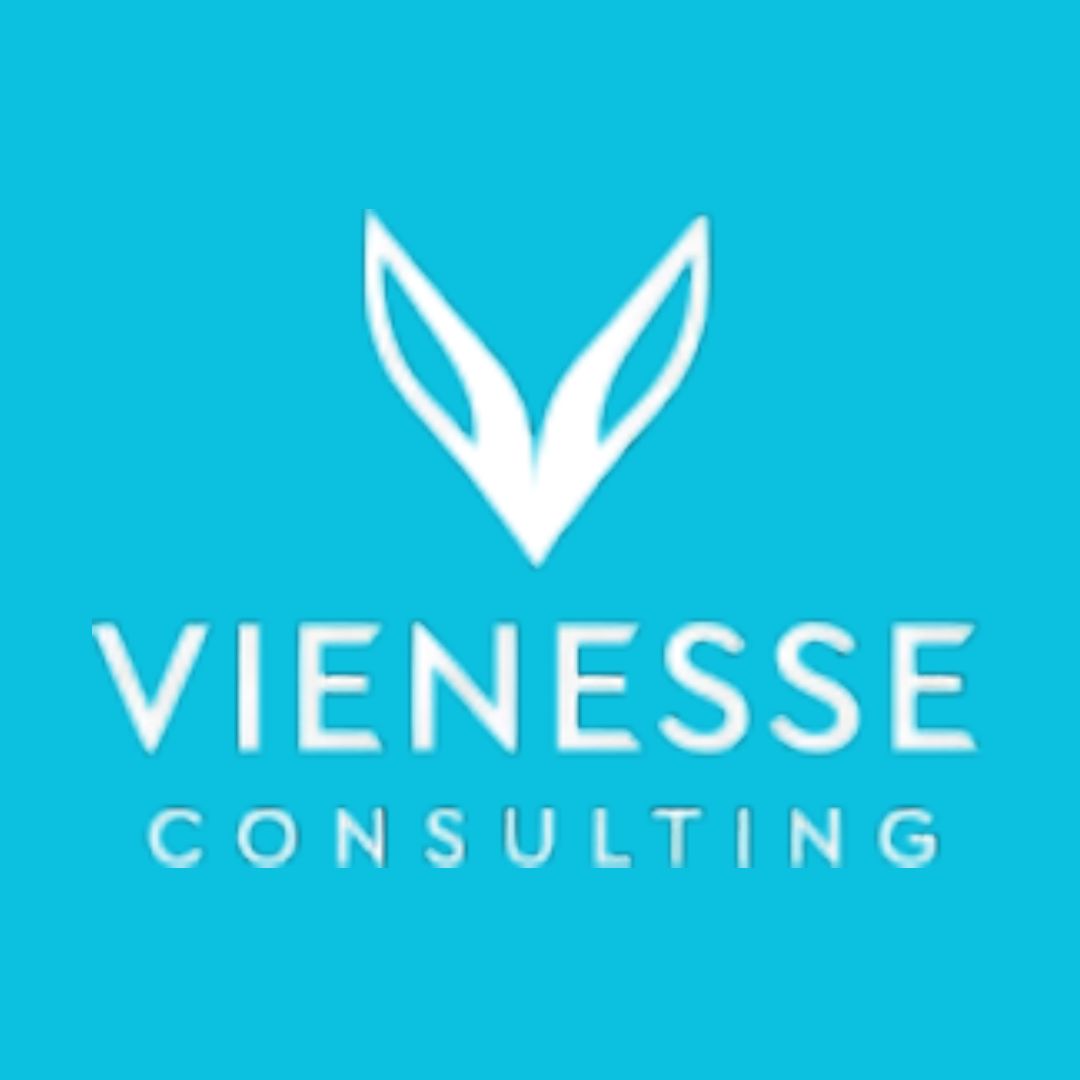 Vienesse AT Consulting