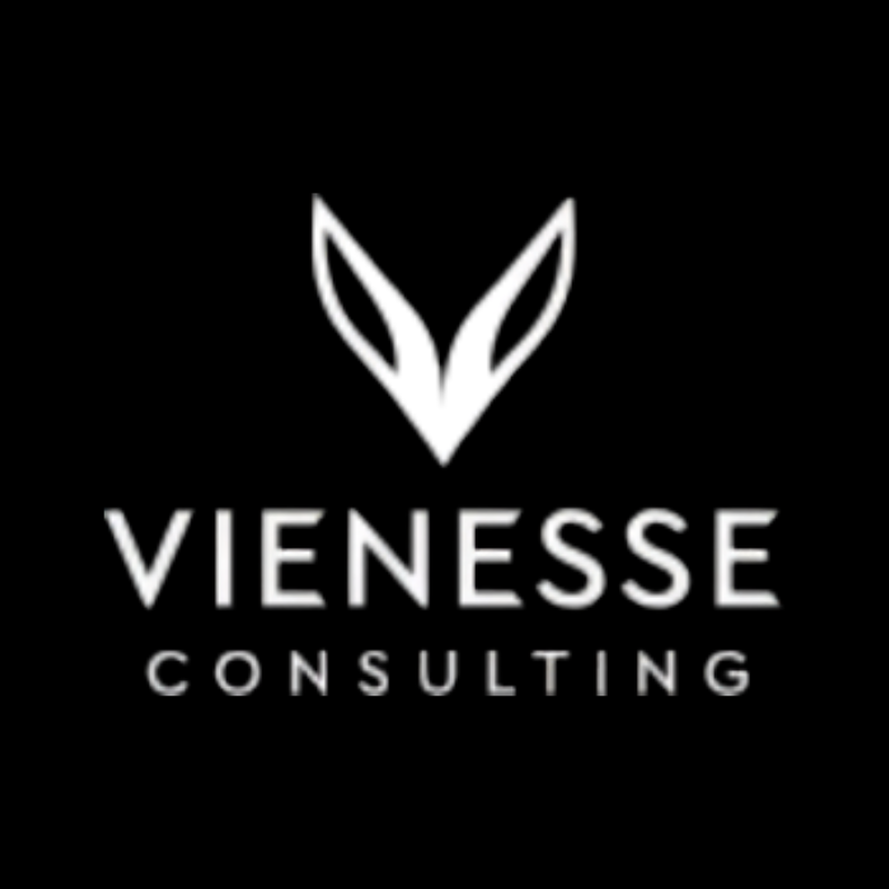 Vienesse AT Consulting
